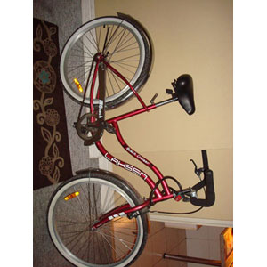CAMBIO 2 bicis de paseo CAMBIO 2 bicis de paseo
