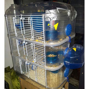 REGALO jaula para hamster REGALO jaula para hamster