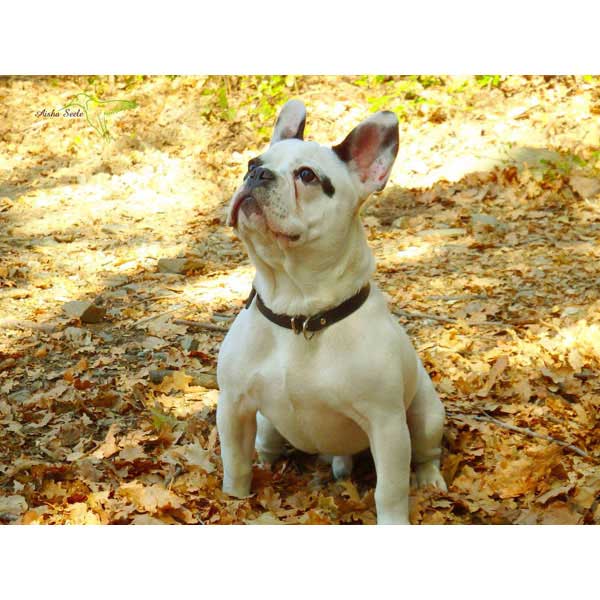 REGALO Reportaje fotogrfico 5