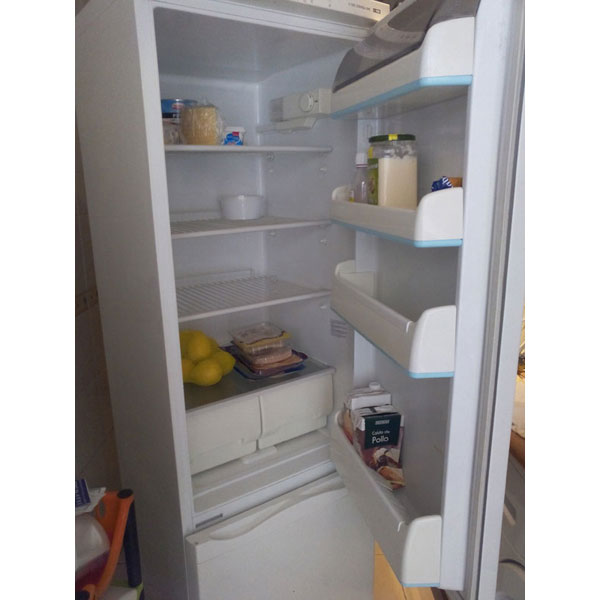 REGALO frigorífico 1