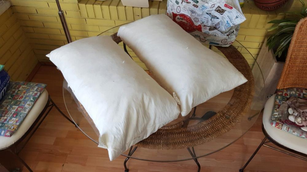 REGALO dos almohadas de plumas 1