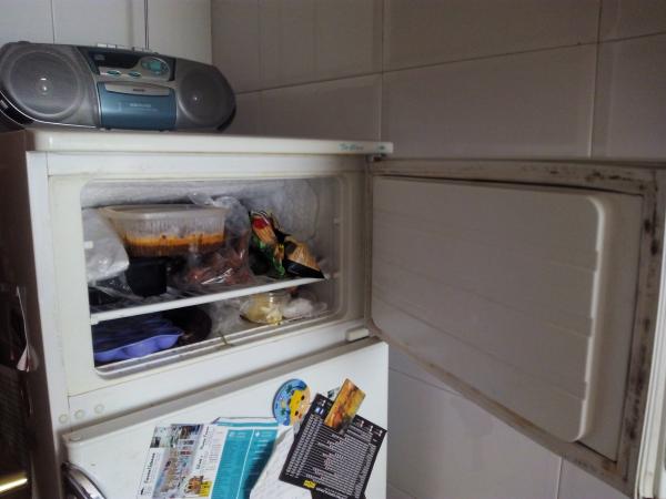 REGALO nevera combi 2