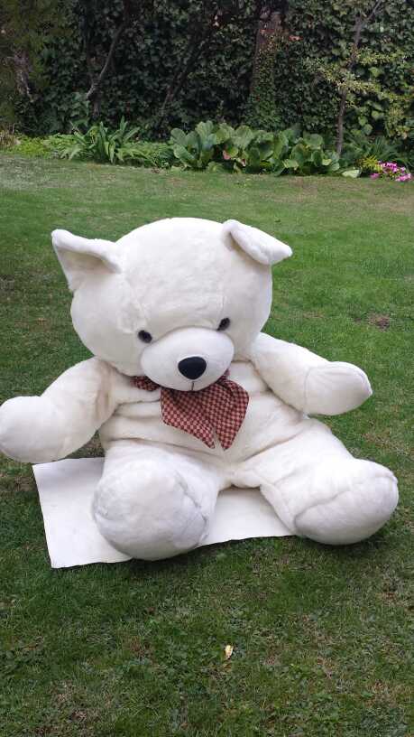 REGALO oso de peluche