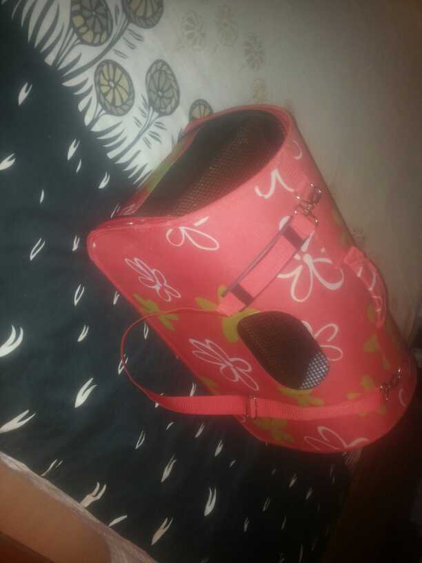 REGALO transportin REGALO transportin