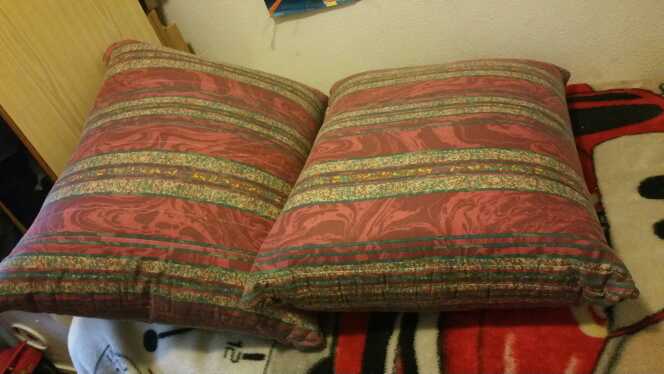 REGALO Dos cojines grandes 2