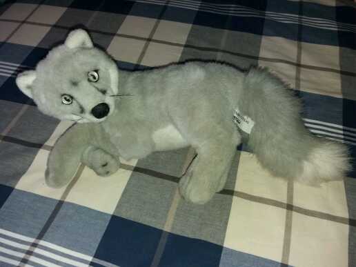REGALO peluche REGALO peluche