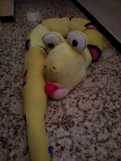 REGALO serpiente