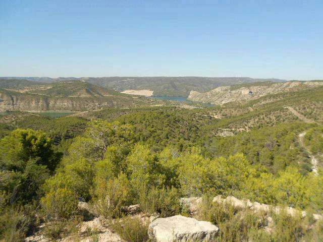 BUSCO finca rustica o forestal BUSCO finca rustica o forestal