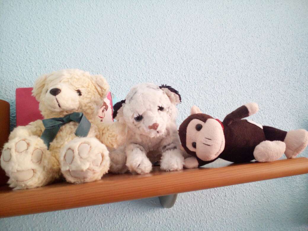 Dono/Regalo peluches