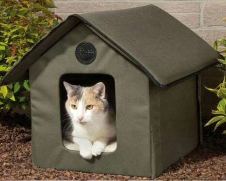 BUSCO Casita de gato BUSCO Casita de gato