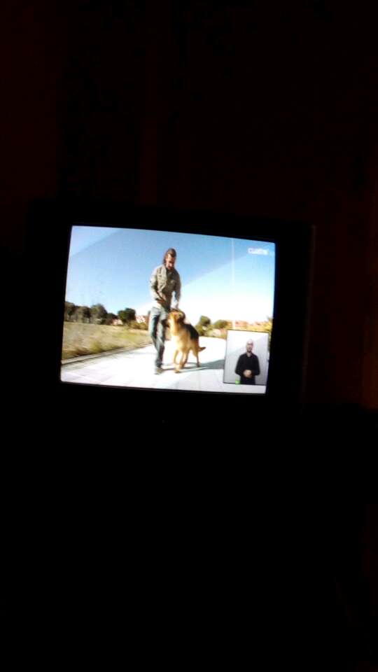 BUSCO Urge televisión BUSCO Urge televisión
