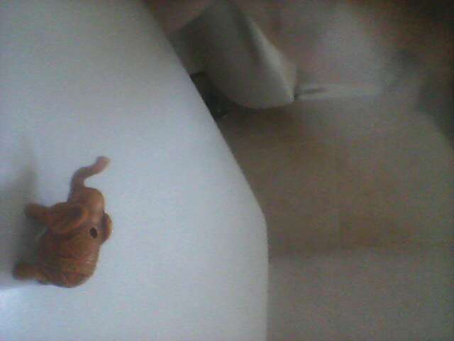 REGALO Figura de elefante (mismo tamaño que en la foto) REGALO Figura de elefante (mismo tamaño que en la foto)