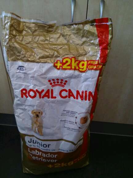 REGALO Dono Pienso para perros 2