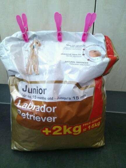 REGALO Dono Pienso para perros REGALO Dono Pienso para perros