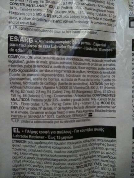 REGALO Dono Pienso para perros 3