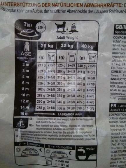 REGALO Dono Pienso para perros 4