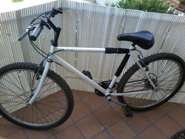 REGALO Bicicleta de montaa 1