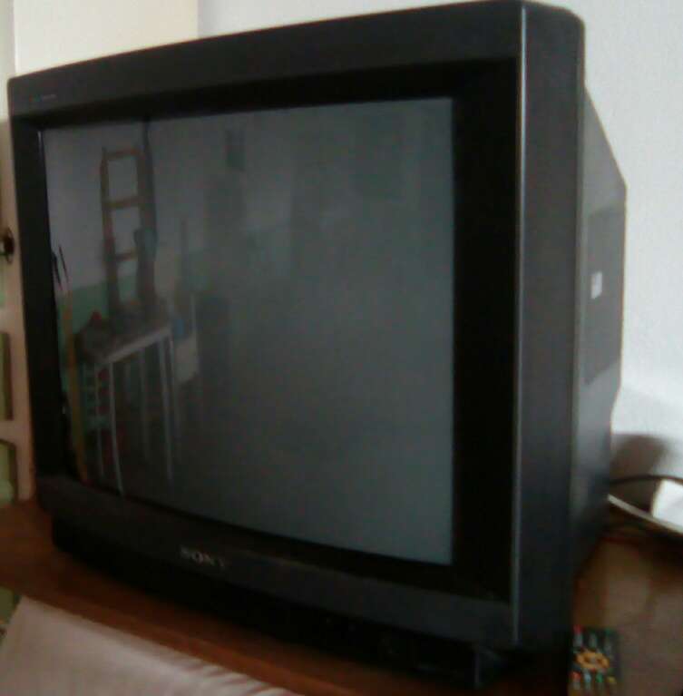 REGALO Television REGALO Television