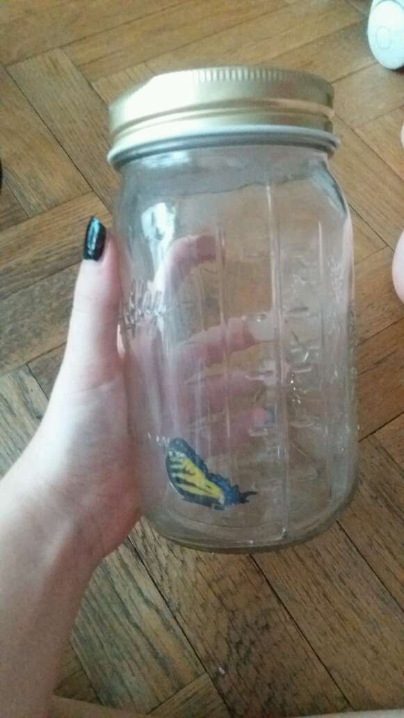 REGALO Juguete. REGALO Juguete.
