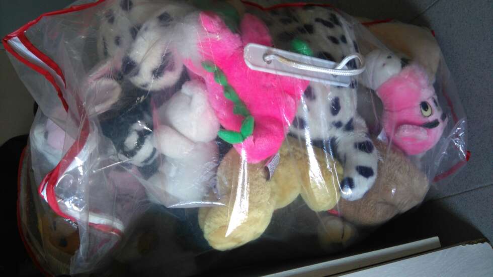 REGALO peluches. entregado REGALO peluches. entregado