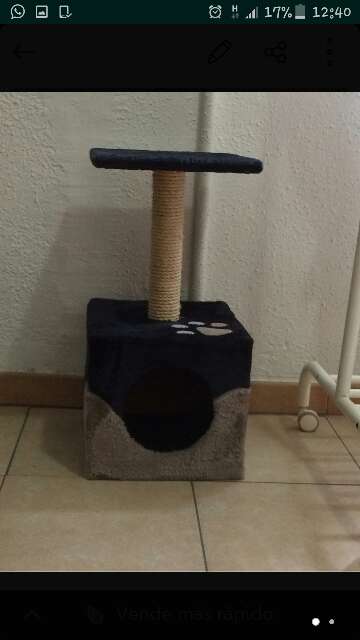 REGALO rascador para gatos