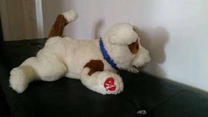 REGALO un peluche REGALO un peluche