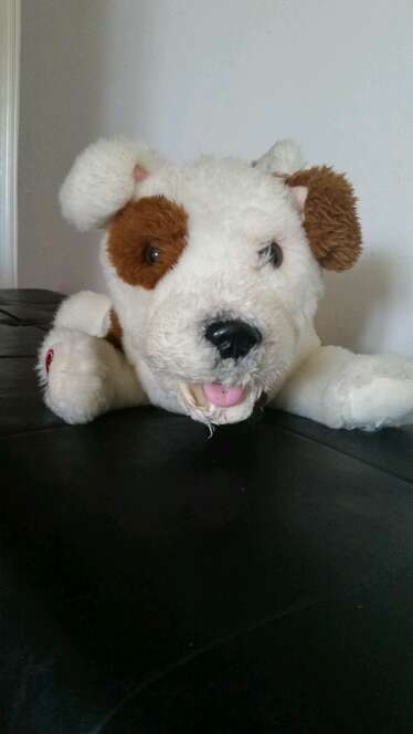 REGALO un peluche  2