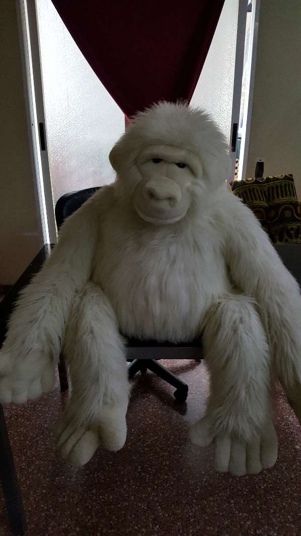 REGALO peluche REGALO peluche