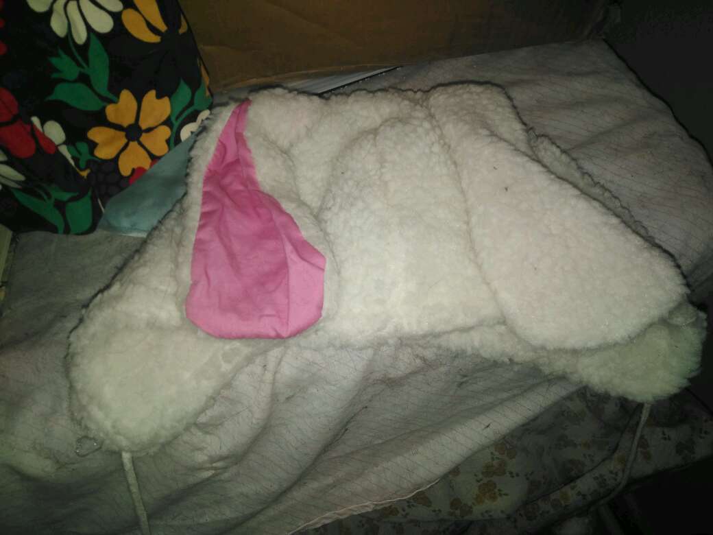 REGALO Gorro orejas de conejo