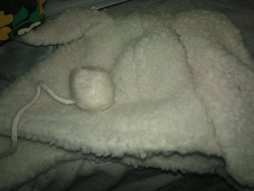 REGALO Gorro orejas de conejo 2