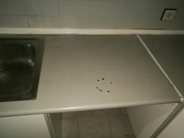 REGALO muebles de cocina sin electrodomesticos 5