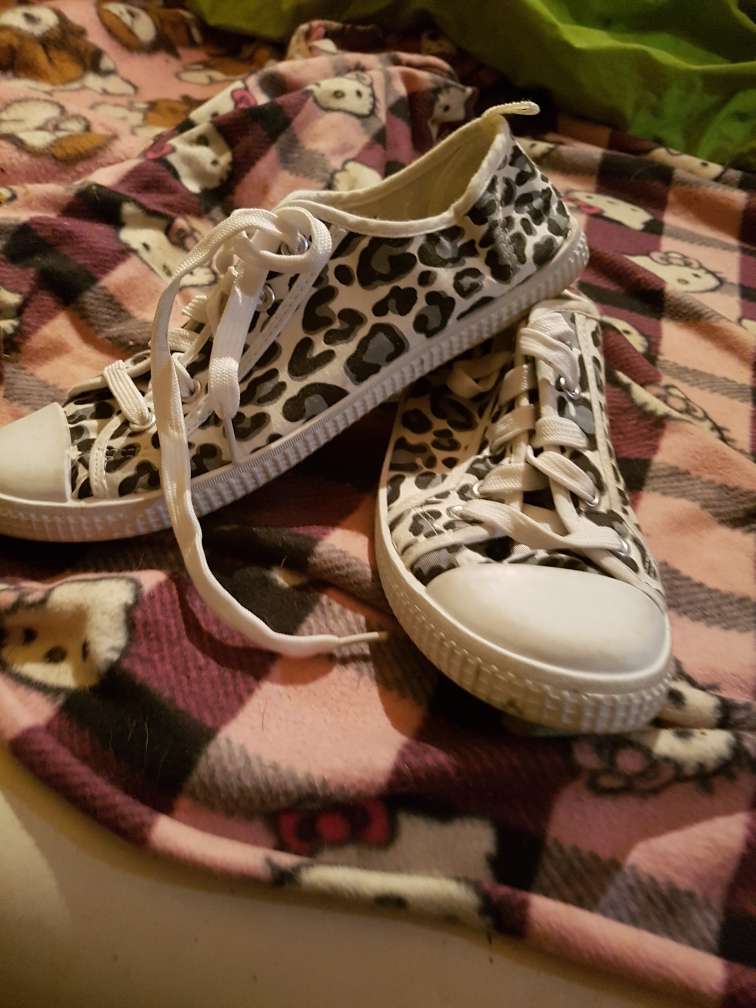 REGALO bambas animal print