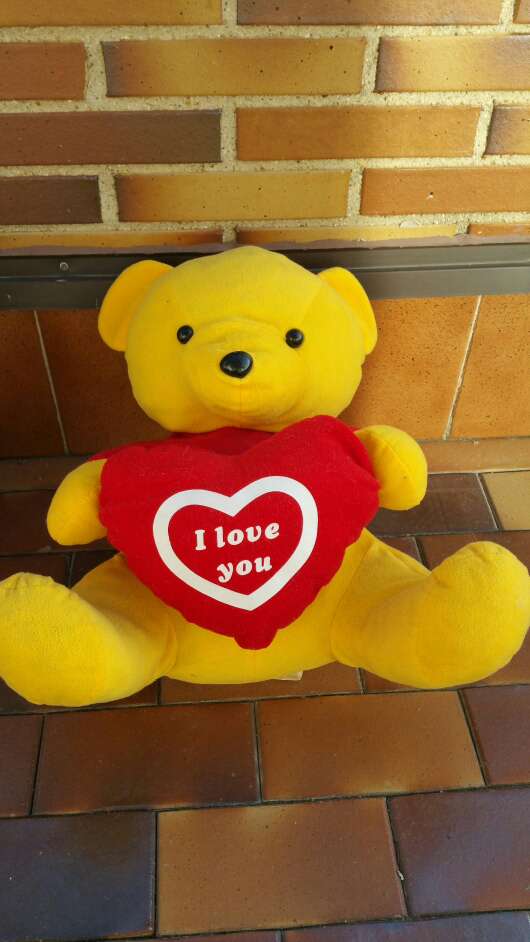 REGALO Reservado   Oso amoroso grande