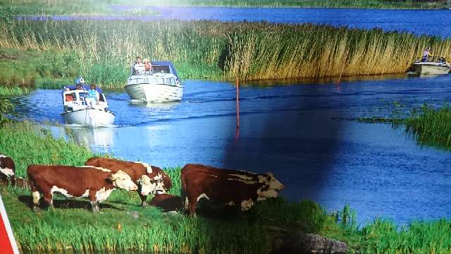 REGALO 5 láminas 30x40cm en color REGALO 5 láminas 30x40cm en color