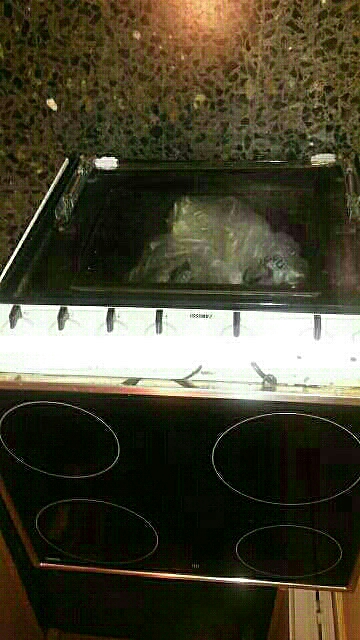 REGALO vitroceramica y horno REGALO vitroceramica y horno