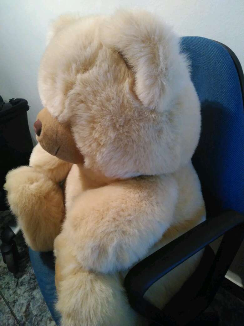 REGALO Peluche Oso Gigante 2