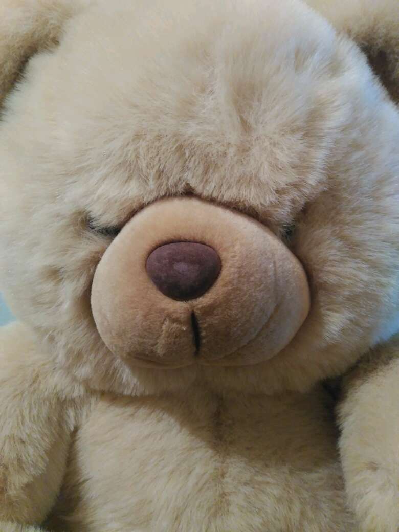 REGALO Peluche Oso Gigante 3