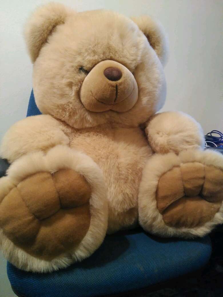 REGALO Peluche Oso Gigante 4
