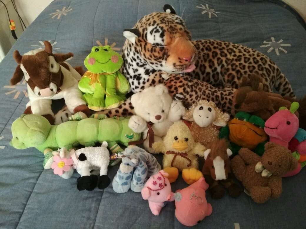 REGALO pack peluches 1