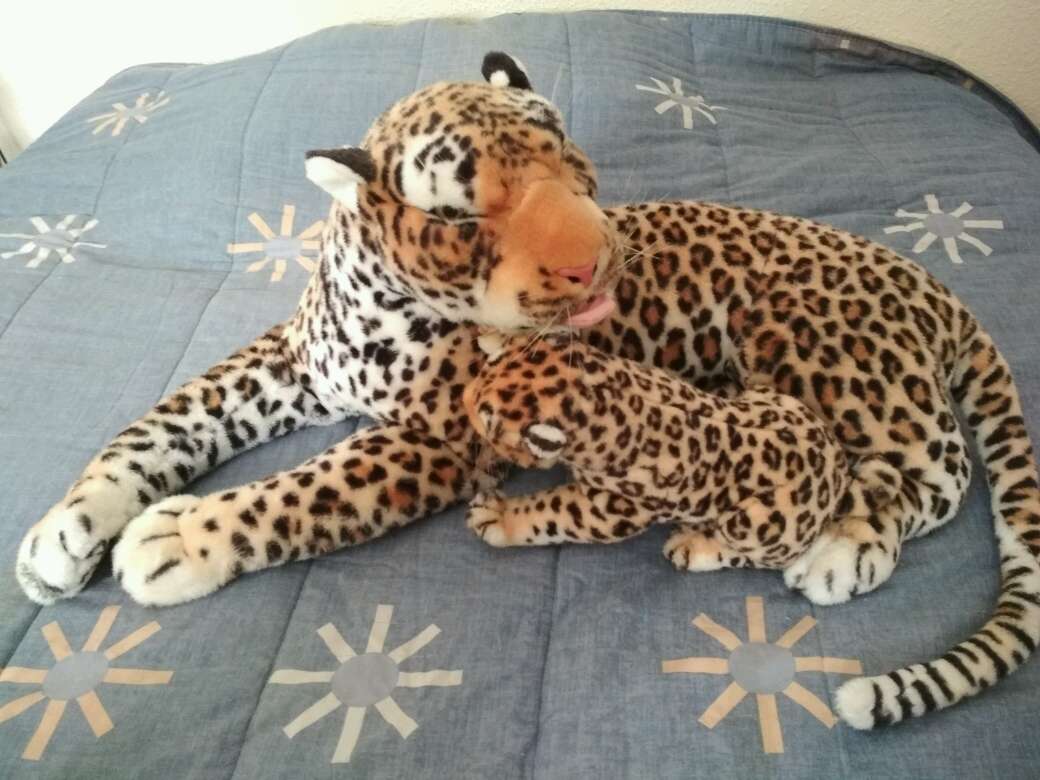 REGALO pack peluches 4