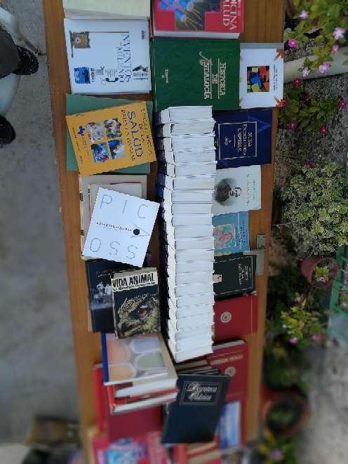 REGALO libros varios