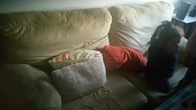 REGALO se regala estos 2 sofas 2