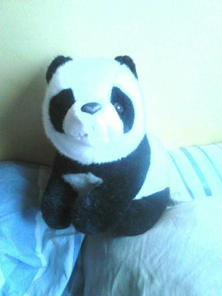 REGALO Panda Peluche