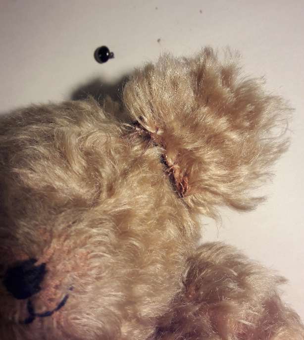 REGALO peluche osito Tedi Teddy 3