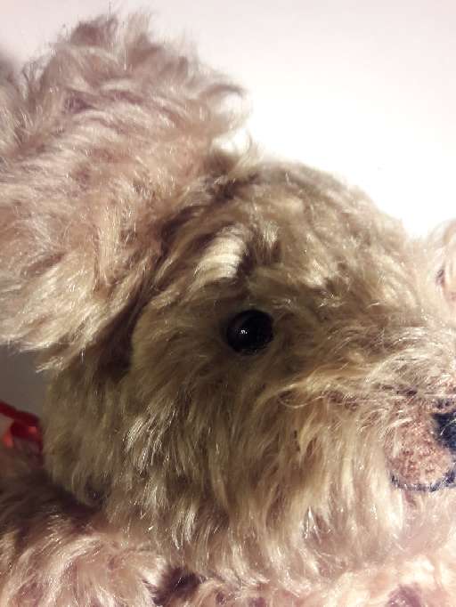 REGALO peluche osito Tedi Teddy 2