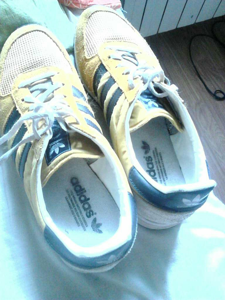 REGALO Zapatillas talla 43