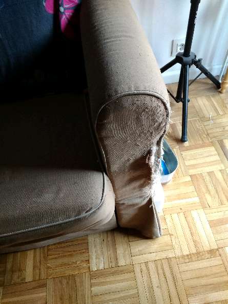 REGALO sofa cama dos plazas 3