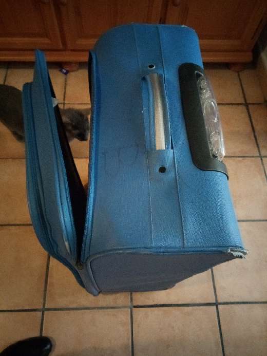 REGALO maleta grande de viaje 2