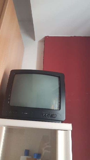 REGALO Televisión REGALO Televisión