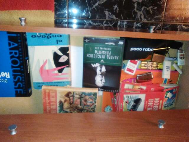 REGALO libros, cuadros y cositas varias 1